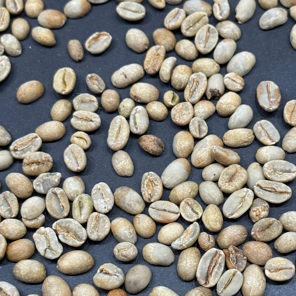 ethiopian natural green coffee