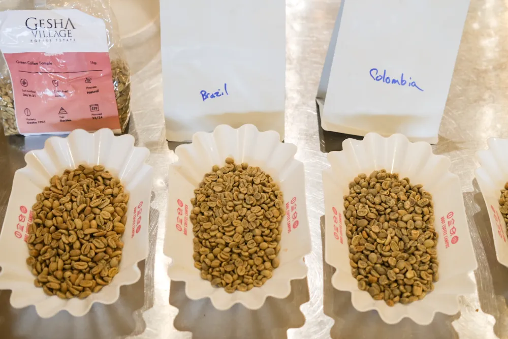 green coffee used for the Ikawa coffee roaster experiment