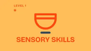 sensory course level 1