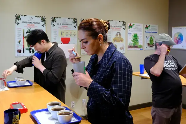 Students tasting coffee via cupping
